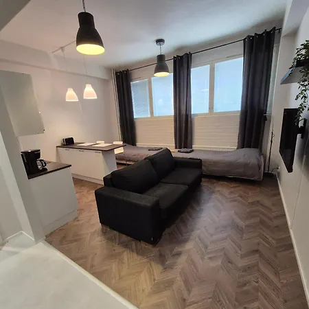 Apartment Laadukas Asunto Ydinkeskustasta Omalla Autopaikalla *